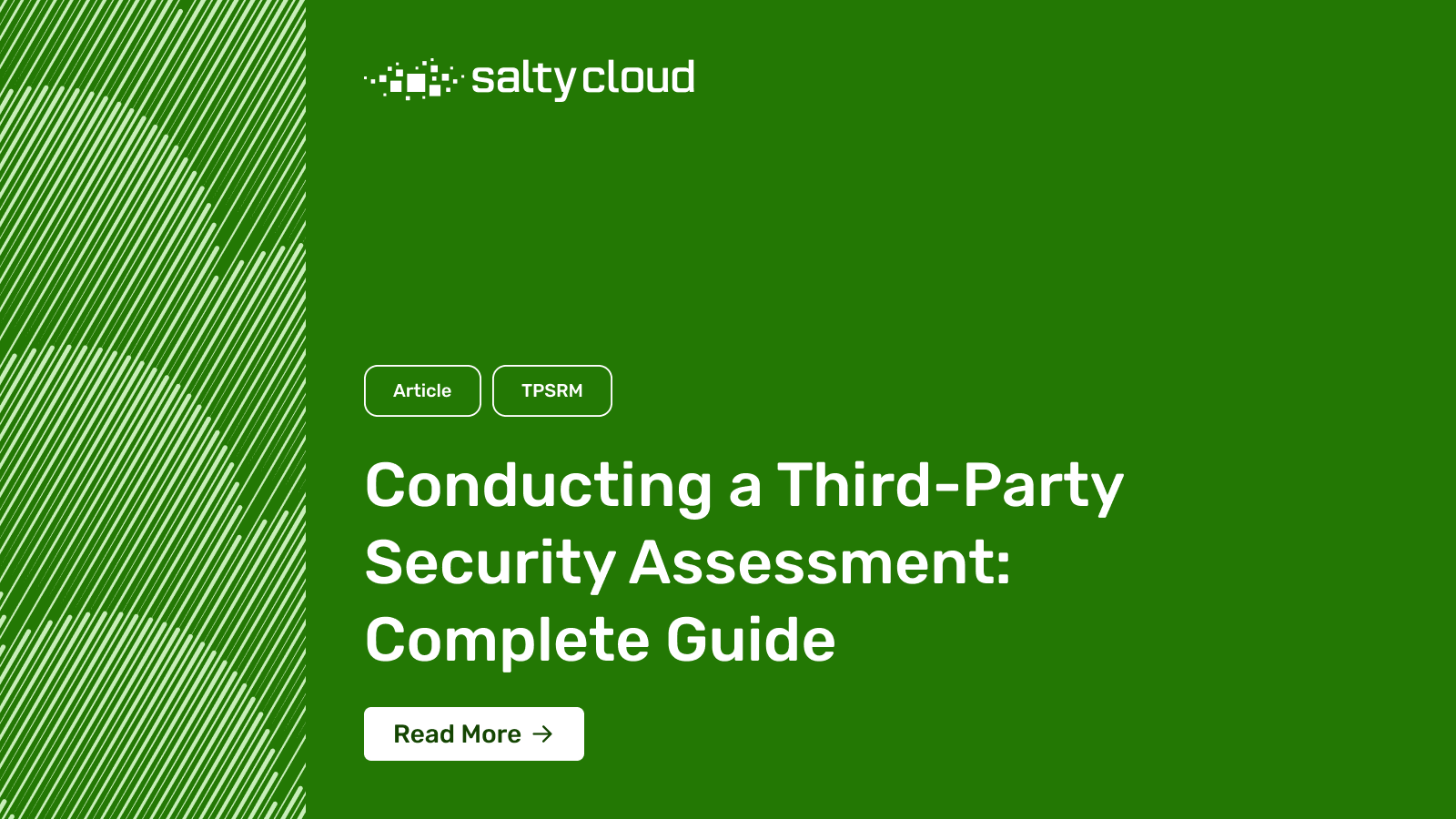 conducting-a-third-party-security-assessment-complete-guide-saltycloud